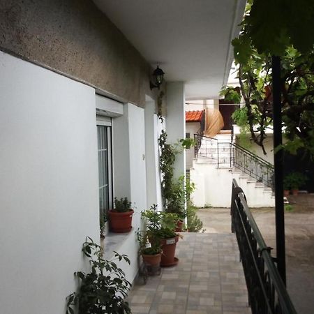 Big Apartment Near Olympus Mountain Litochoro Exterior photo