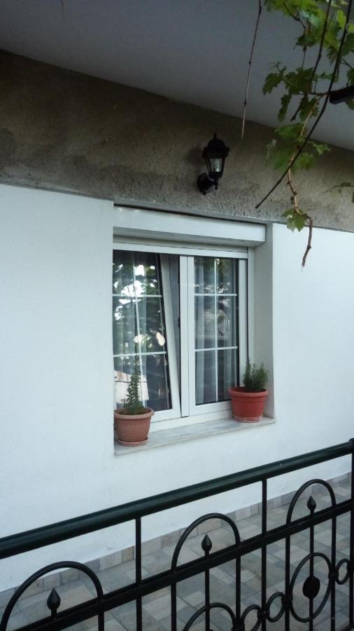 Big Apartment Near Olympus Mountain Litochoro Exterior photo